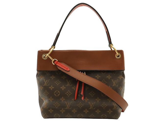 Borsa a tracolla Louis Vuitton Monogram Tuileries Besace - vista 2