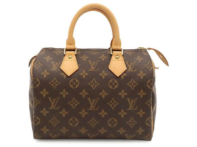 Borsa a mano Louis Vuitton Monogram Speedy 25 - vista 2