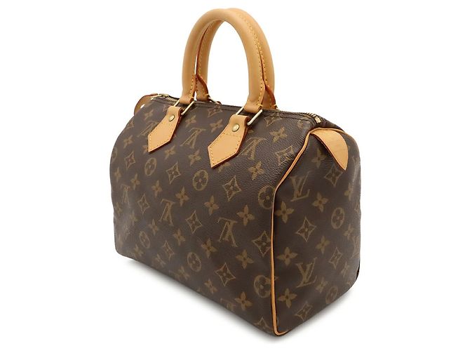 Borsa a mano Louis Vuitton Monogram Speedy 25 - vista 3