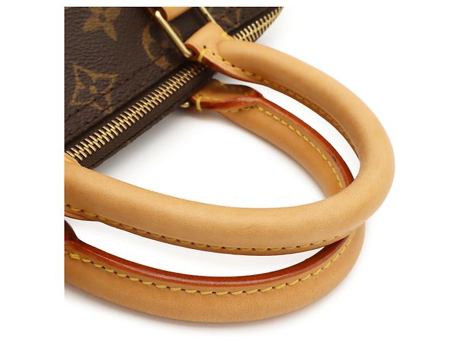 Borsa a mano Louis Vuitton Monogram Speedy 25 - vista 5