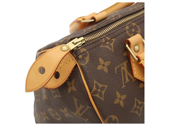 Borsa a mano Louis Vuitton Monogram Speedy 25 - vista 6