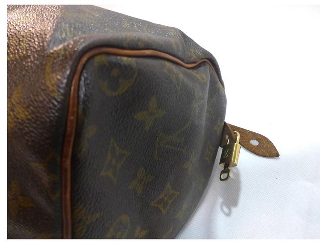 Borsa Louis Vuitton Speedy 30 Monogram - vista 14