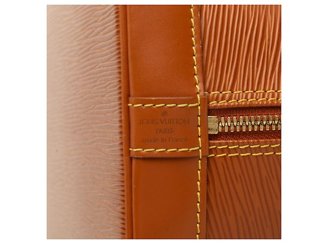 Borsa a mano Louis Vuitton Epi Alma PM Marrone - vista 5