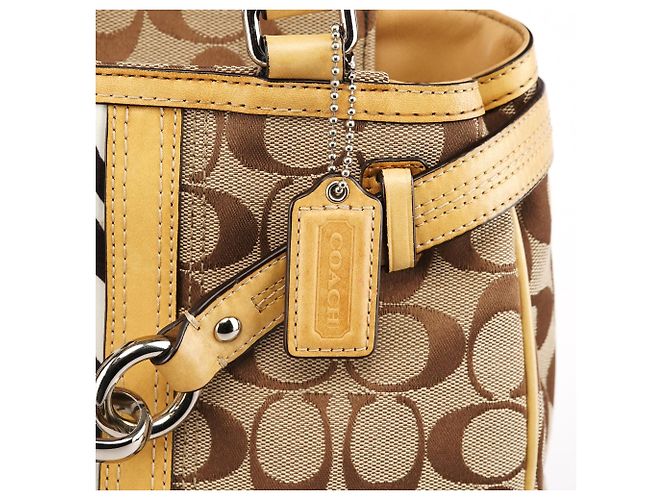 Coach Borsa Tote Hamptons Zebra Beige F13993 - vista 6