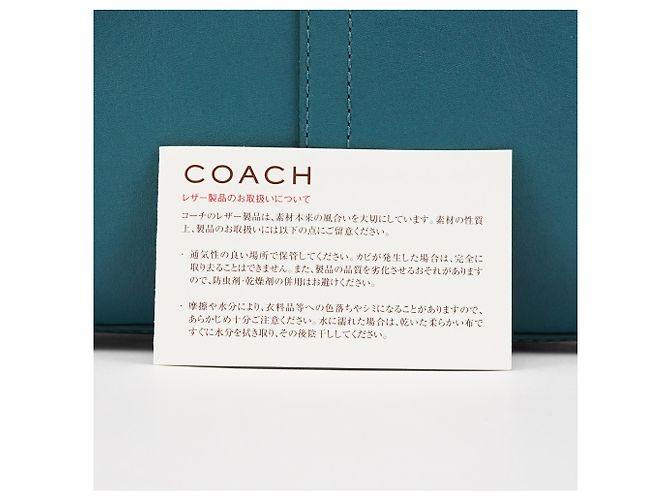 Coach Borsa Tote Hamptons in pelle Teal 8A70 - vista 9