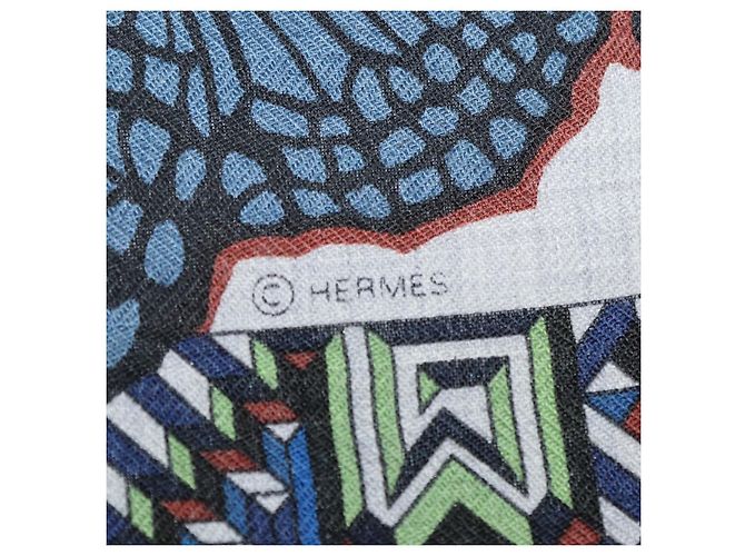 Hermès Hermes Multicolor Cashmere Silk Le Jaguar Et Le Colibri Shawl - vista 8