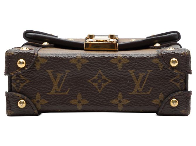 Louis Vuitton Brown Monogram Reverse Pochette Trunk Verticale - vista 3