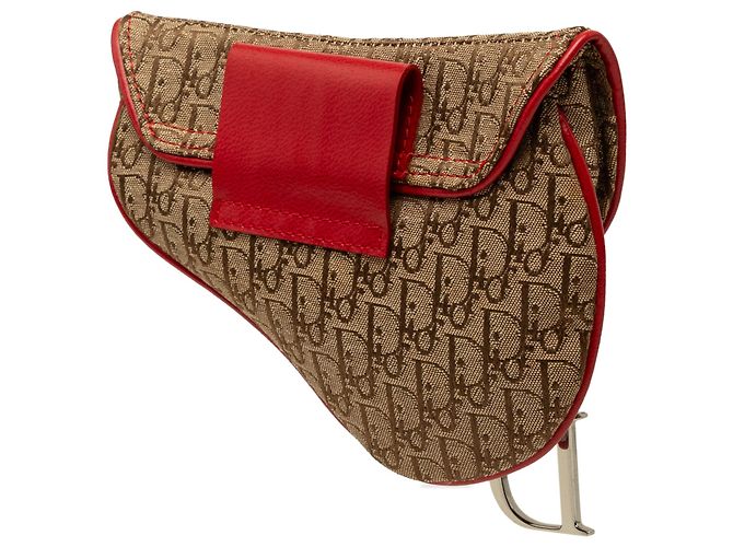 Borsa Cintura Saddle Dior Beige Diorissimo Canvas Rasta - vista 2