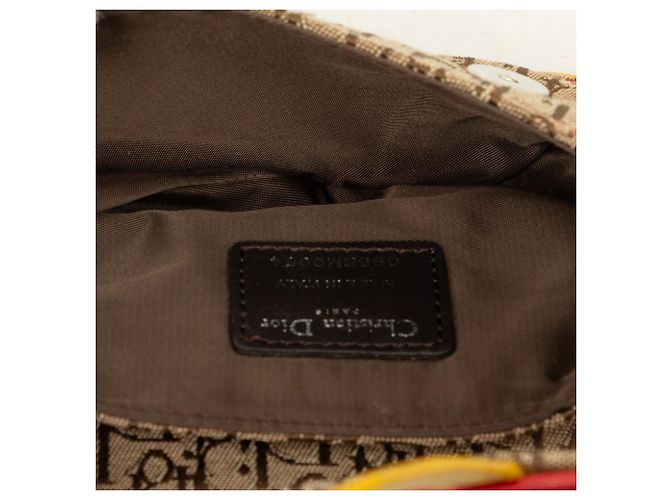 Borsa Cintura Saddle Dior Beige Diorissimo Canvas Rasta - vista 4