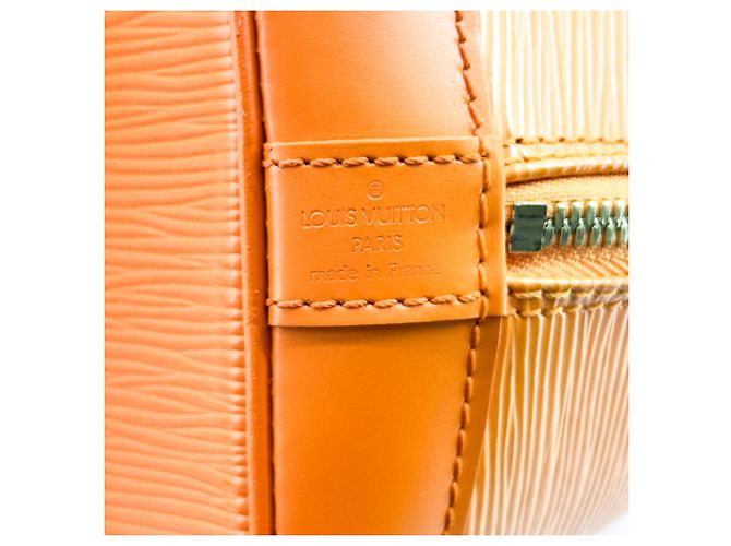 Louis Vuitton Alma Epi Leather PM - vista 6