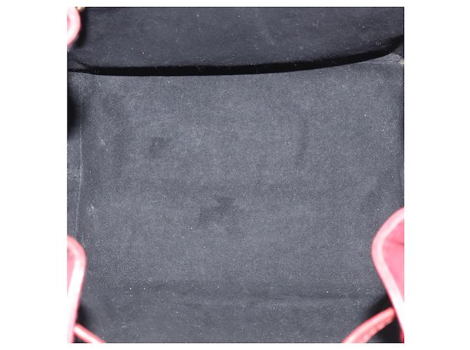 Louis Vuitton Petit Noe Epi Leather Medium - vista 5