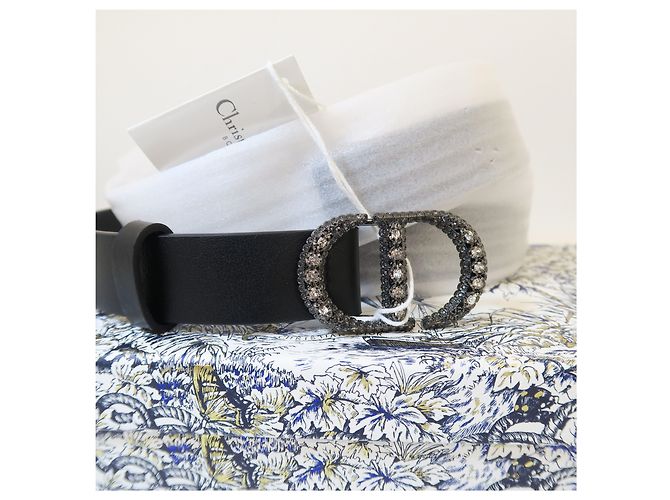 Dior Mountain Crystal Gürtel Silver - Ansicht 10