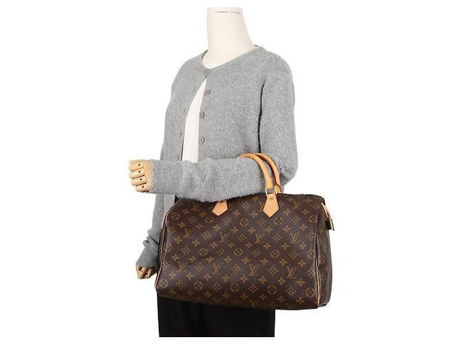 Louis Vuitton Speedy Monogram Canvas Tote Bag - Ansicht 15