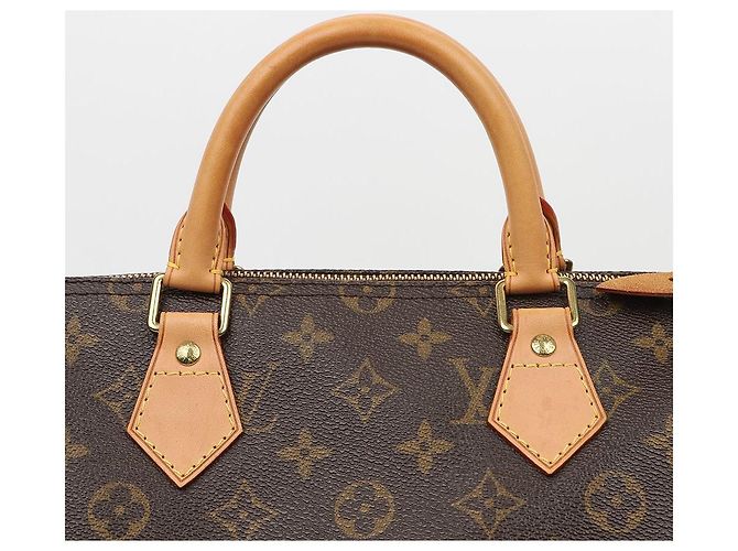 Louis Vuitton Speedy Monogram Canvas Tote Bag - Ansicht 2