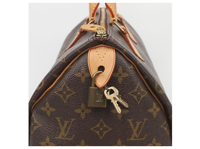 Louis Vuitton Speedy Monogram Canvas Tote Bag - Ansicht 6