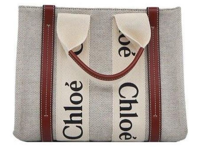 Chloé Woody Mini in tela di lino e vitello lucido marrone - vista 4