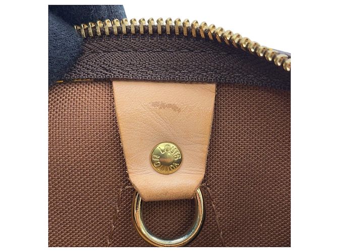 Borsa Louis Vuitton Monogram Town Pumpkin Dot Speedy 30 - vista 8