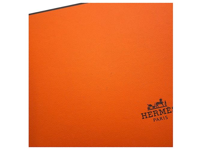 Hermès Borsa a tracolla Hermes Evelyne TPM - vista 11