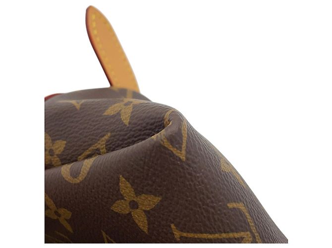 Borsa a tracolla Carryall Monogram Louis Vuitton - vista 10