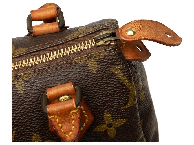 Borsa Louis Vuitton Monogram Mini Speedy HL Marrone - vista 6