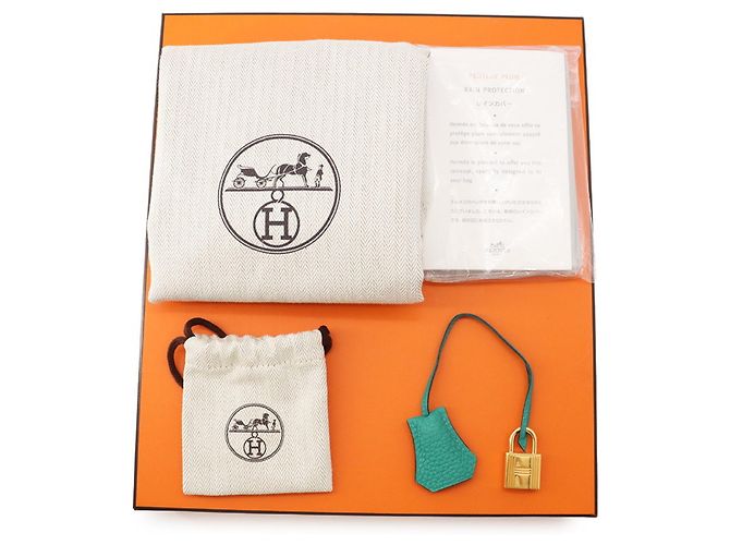 Hermès Borsa Hermes Birkin 25 - vista 14