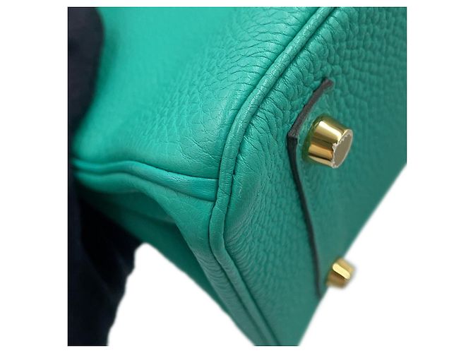 Hermès Borsa Hermes Birkin 25 - vista 7