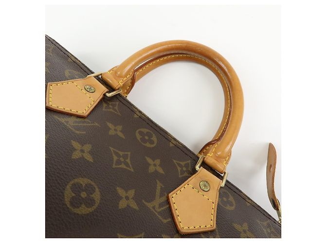 Louis Vuitton Speedy Monogram Canvas 30 - vista 6