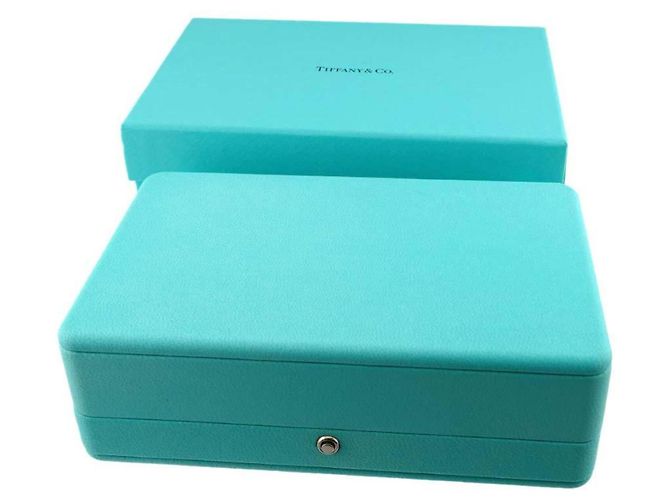 Autre Marque Orecchini Tiffany & Co. Rock Medium Diamond - vista 10