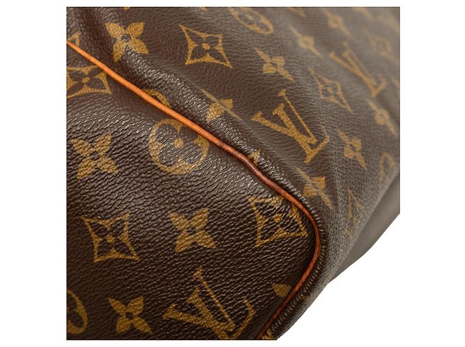 Louis Vuitton Brown Monogram Speedy 30 - vista 6
