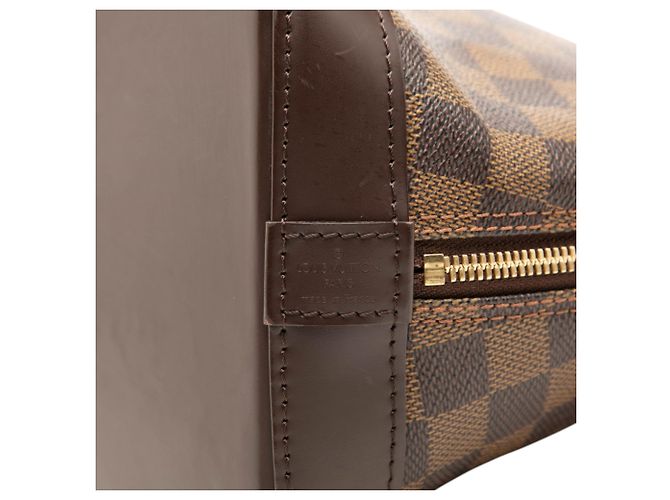 Louis Vuitton Brown Damier Ebene Alma PM - vista 5