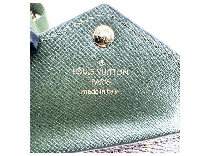 Louis Vuitton Felicie Strap & Go Monogram Canvas - vista 6