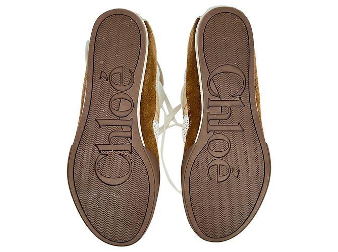 Sneakers alte Chloé Kick in camoscio marrone e bianco - vista 13