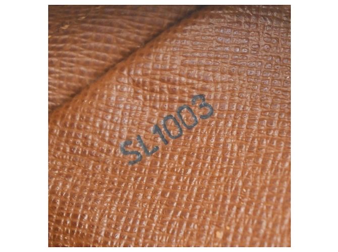 Louis Vuitton Danube Monogram Canvas Mini - vista 7