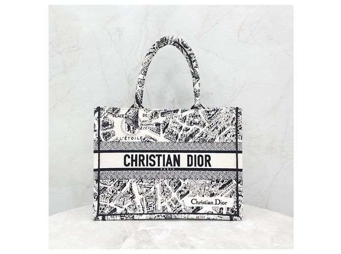 Dior Book Tote Medium Plan de Paris - vista 10