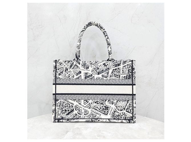 Dior Book Tote Medium Plan de Paris - vista 12