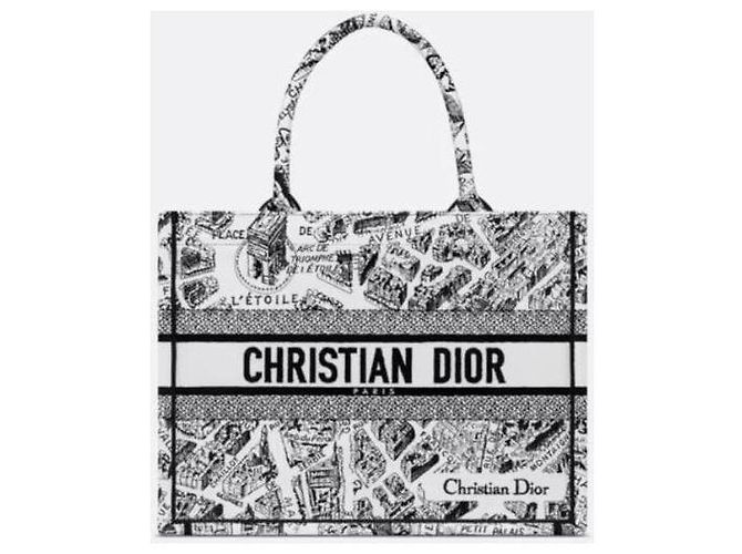Dior Book Tote Medium Plan de Paris - vista 9