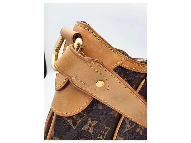 Borsa Louis Vuitton Thames GM Monogram - vista 15