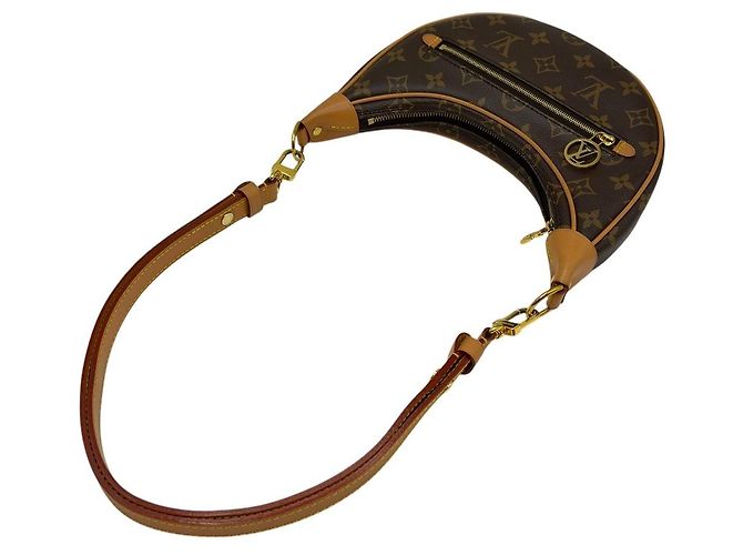 Louis Vuitton Borsa Hobo Monogram Loop - vista 6