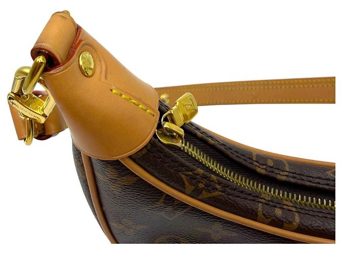 Louis Vuitton Borsa Hobo Monogram Loop - vista 8