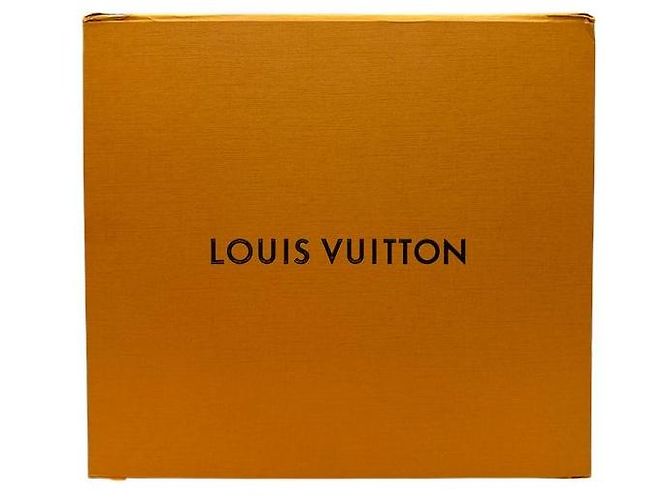 Louis Vuitton Borsa Hobo Monogram Loop - vista 9