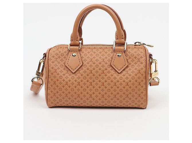 Louis Vuitton Sac à épaule Speedy Nano Tote - vue 3