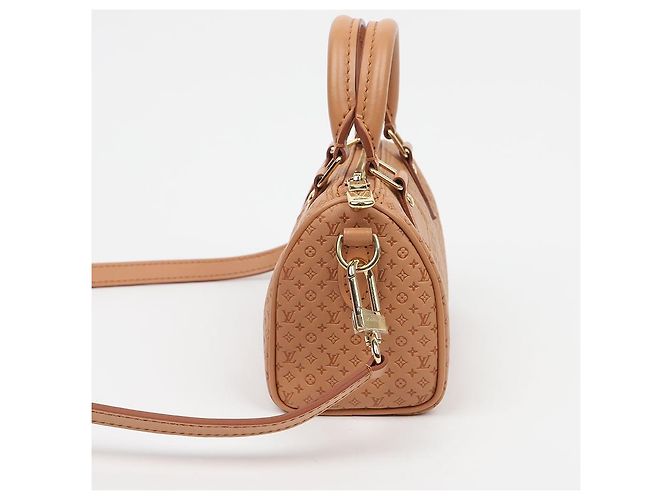 Louis Vuitton Sac à épaule Speedy Nano Tote - vue 4