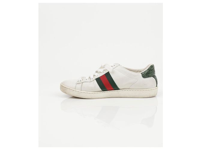 Gucci Ace Leder-Sneaker White Green - Ansicht 12