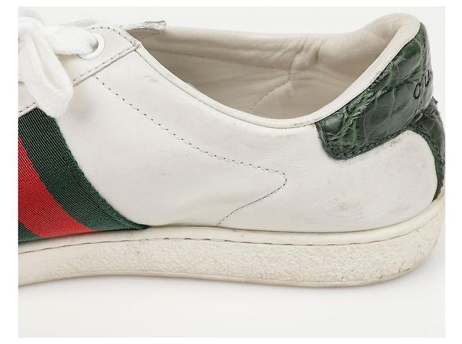 Gucci Ace Leder-Sneaker White Green - Ansicht 14