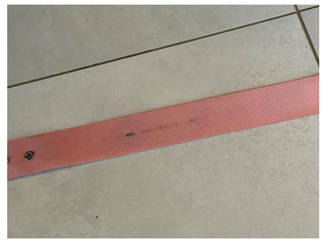 Chanel Rosa Canvas Gürtel mit Kassetten-Schnalle - Ansicht 17
