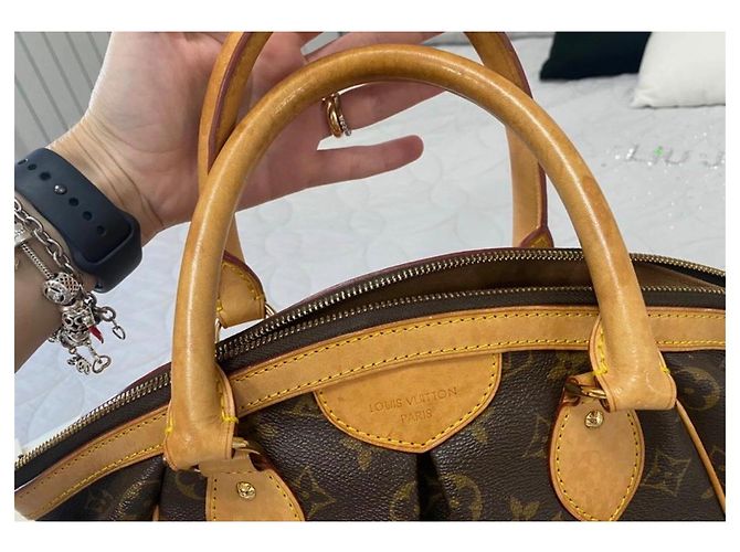 Louis Vuitton Borsa Speedy Monogram - vista 15