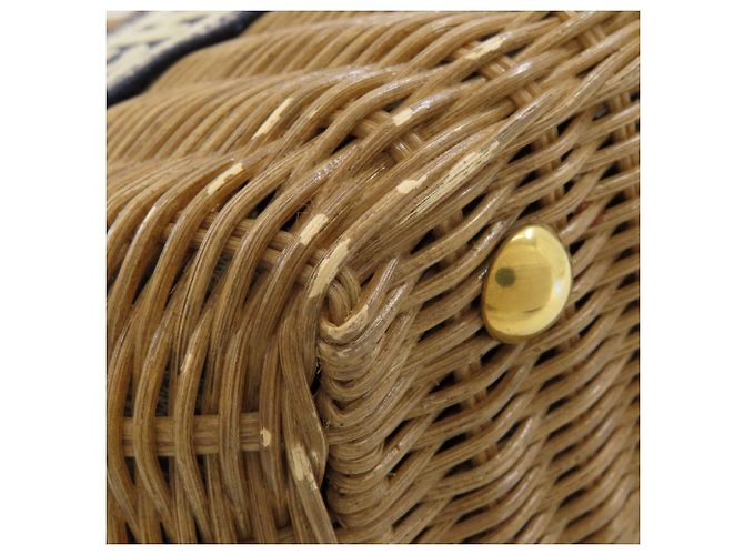 Borsa Christian Dior Wicker Oblique - vista 15