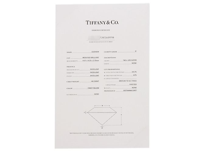 Autre Marque Collana Tiffany & Co. Buttercup Yellow Diamond - vista 6