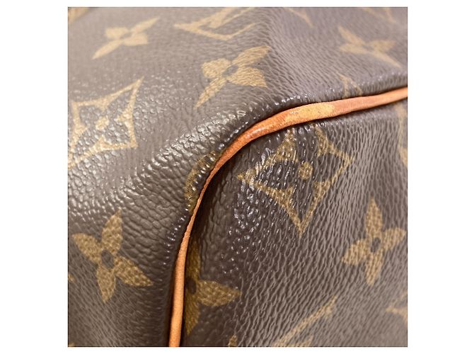 Borsa Boston Louis Vuitton Monogram Speedy 30 - vista 15