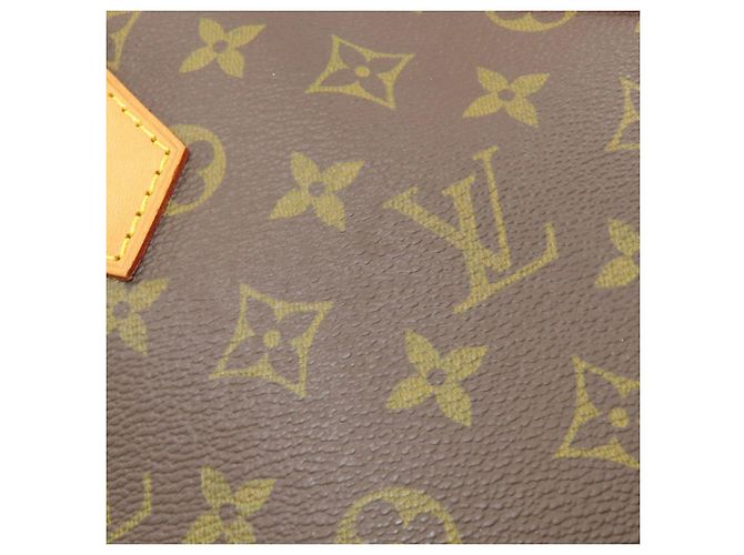 Borsa a mano Louis Vuitton M51130 Alma in Monogram Canvas - vista 10